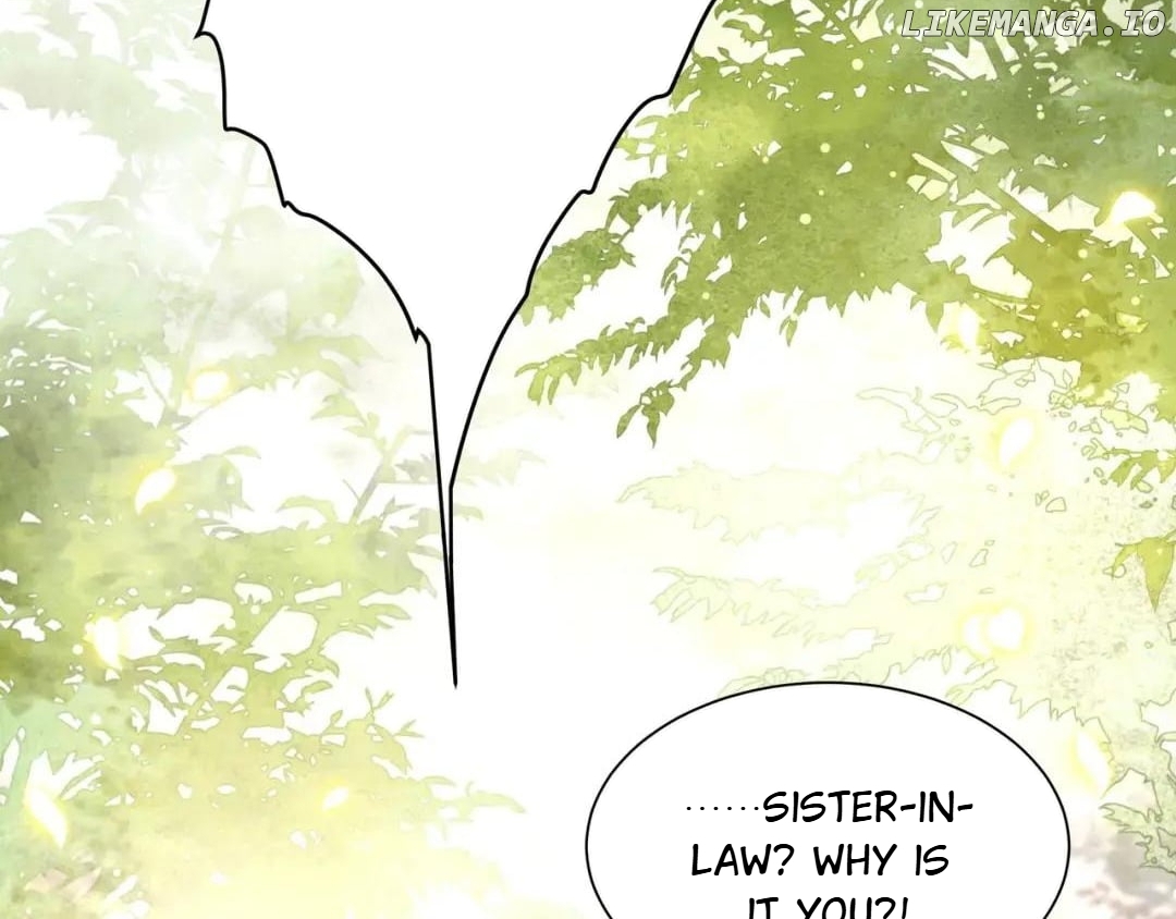 Lonely Emperor Chases His Sister-in-Law Chapter 58 - page 28